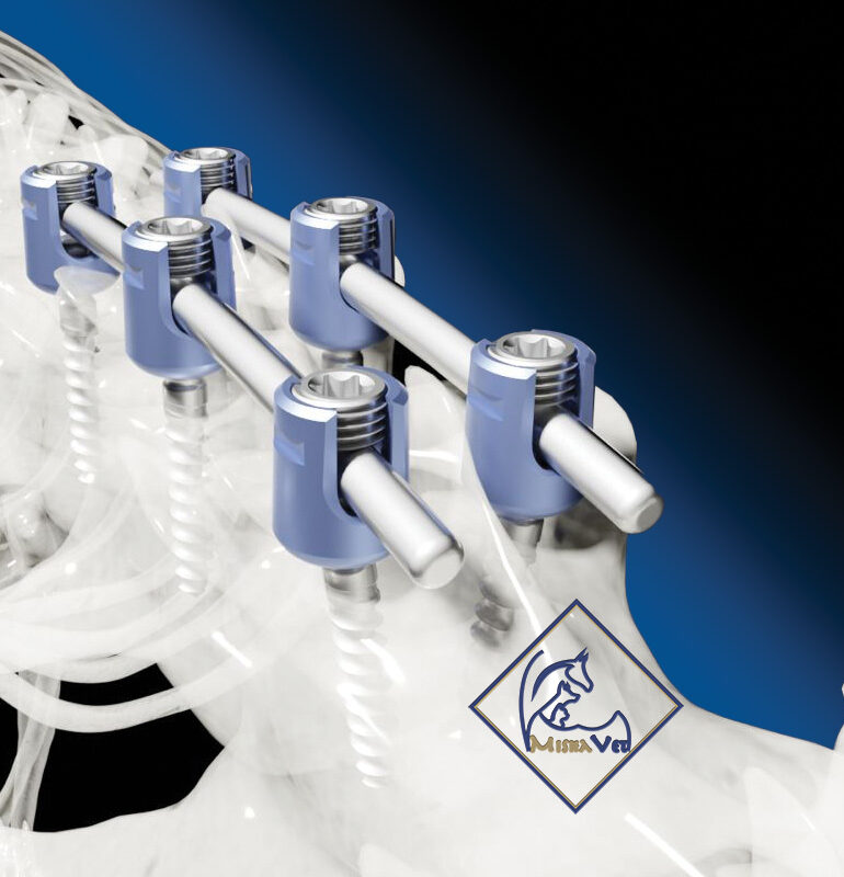 Veterinary Spinal Systems