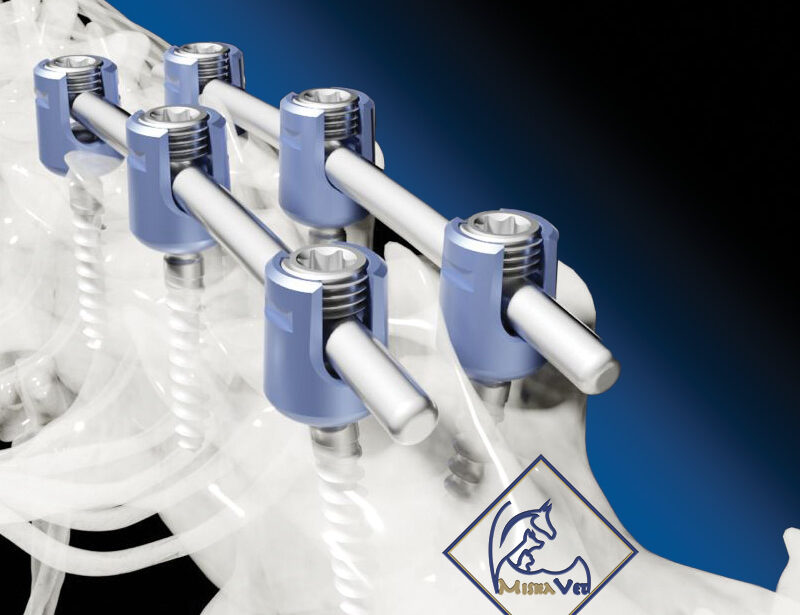 Veterinary Spinal Systems