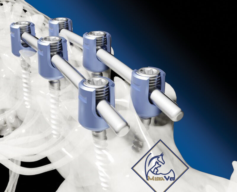 Veterinary Spinal Systems