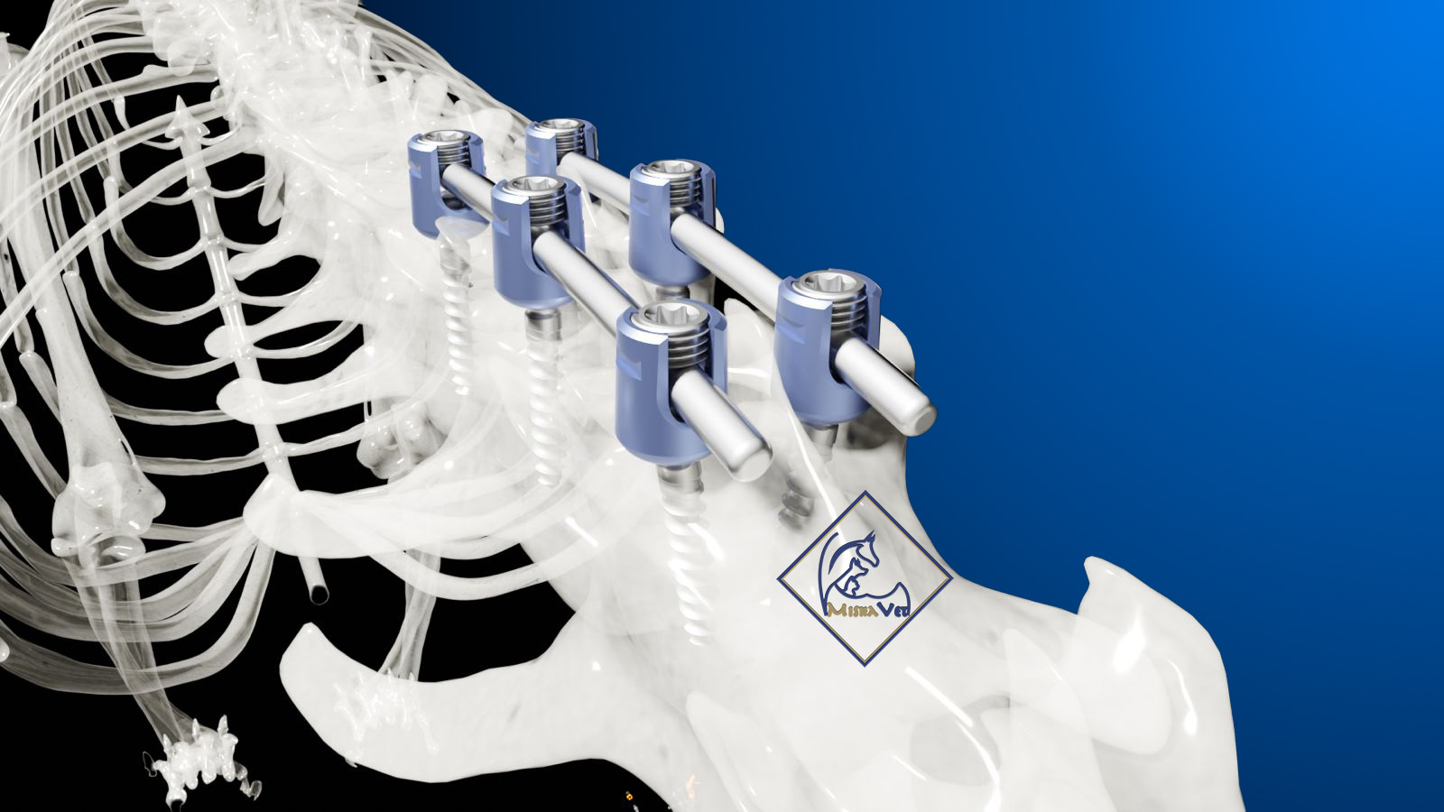 Veterinary Spinal Systems