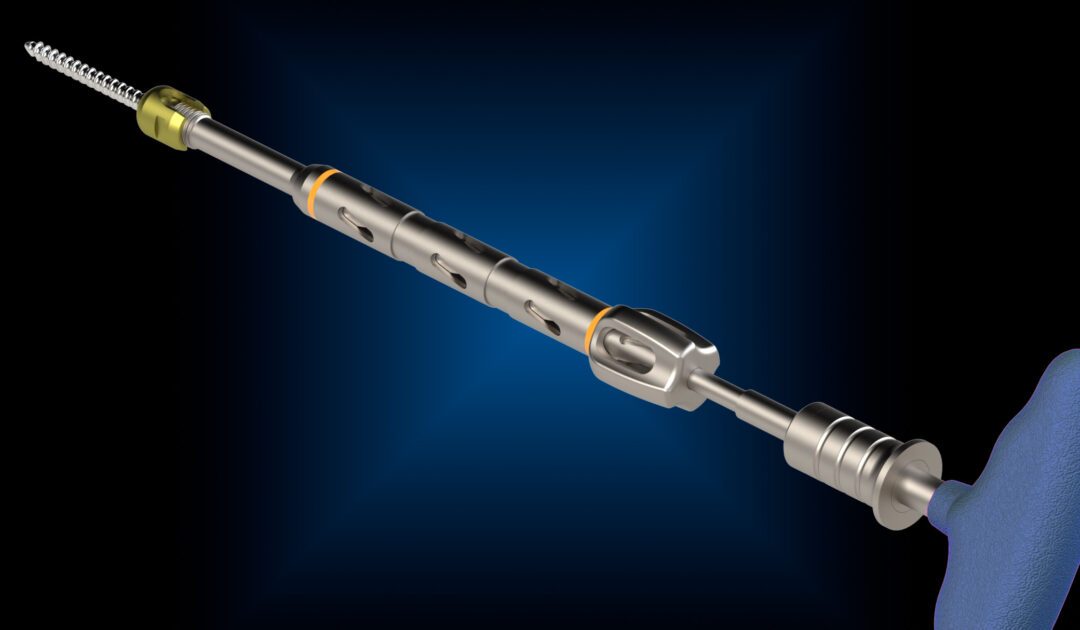 Polyaxial Screw And Driver